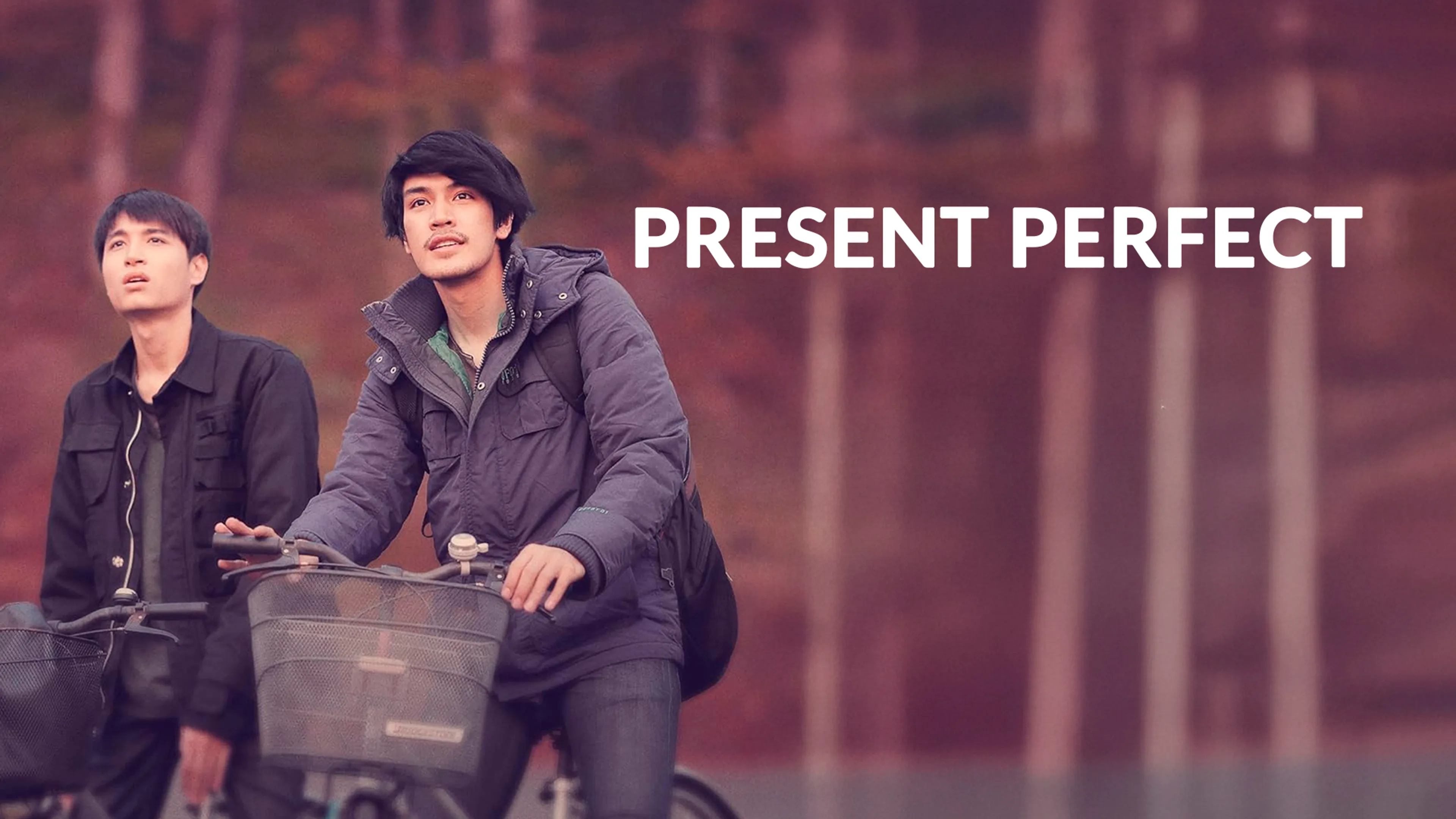 Present Perfect poster